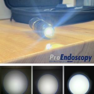 Portable LED mini light source